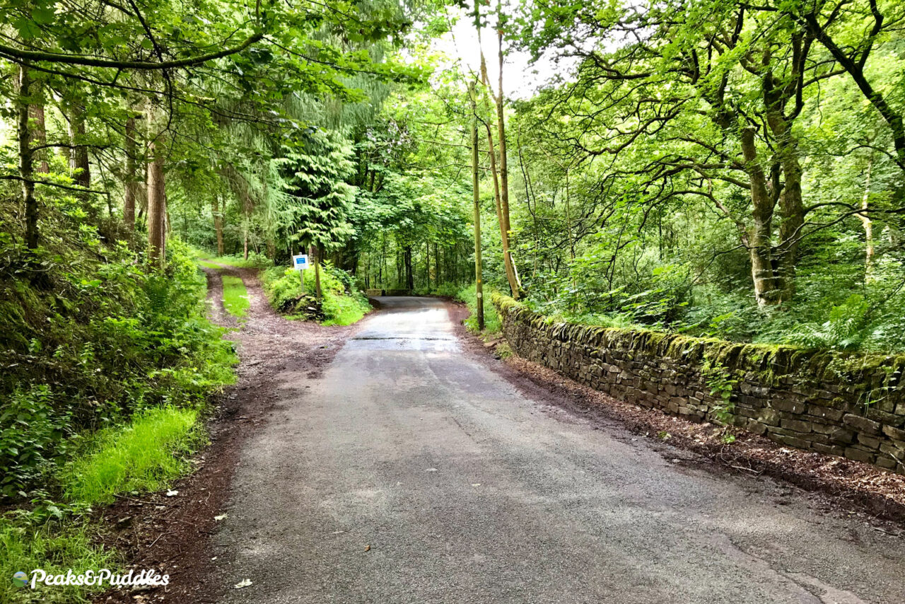 Wildboarclough