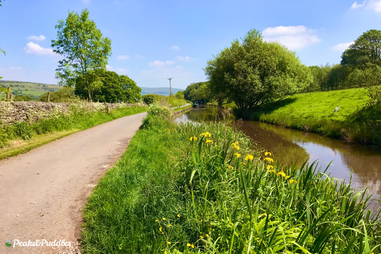 Turf Lea on the Peak Forest Canal