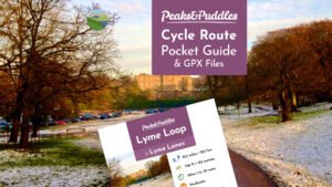 Lyme Loop