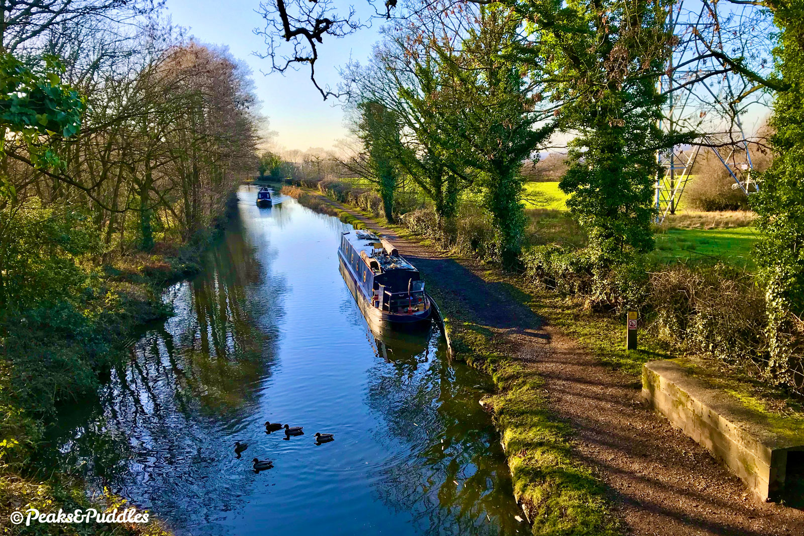 The Macclesfield Canal from Springbank Lane.